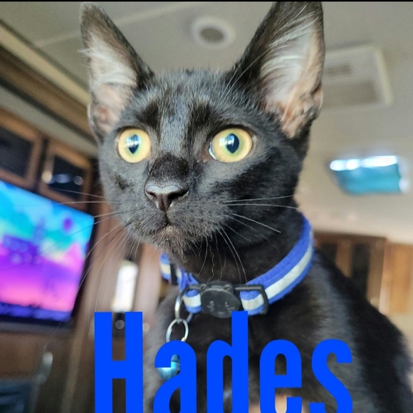 Meet your Posher, Jamie - Picture 7 of 8